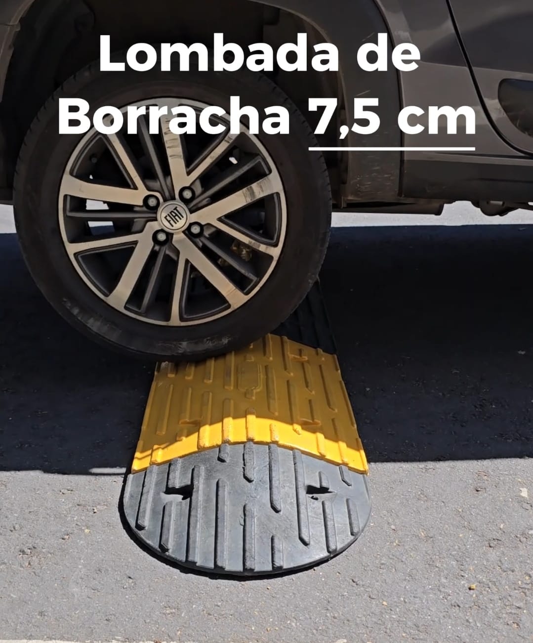 Lombada de Borracha